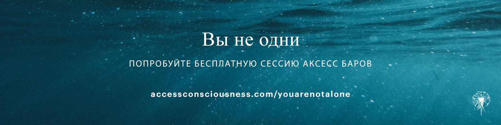 WebBanner_AC_youarenotalone-400-72-Russain.jpg
