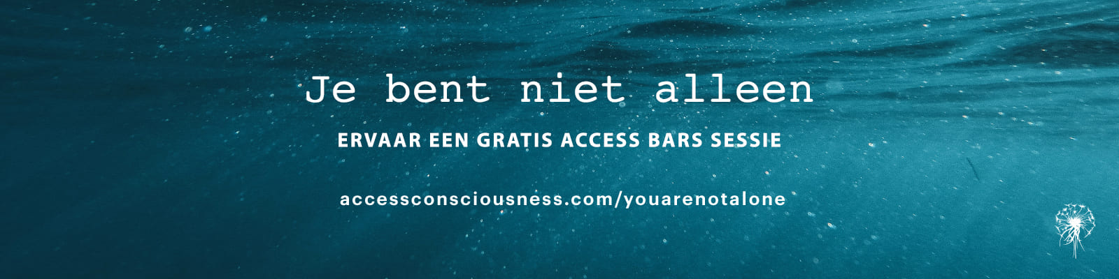 WebBanner_AC_youarenotalone-Dutch-lw.jpeg